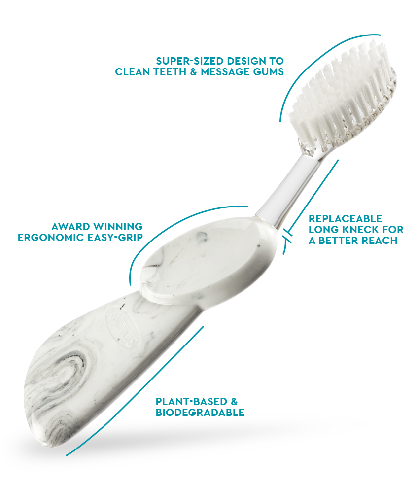 Big Toothbrush with Replaceable Head