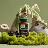 Black Elderberry, 30 Servings