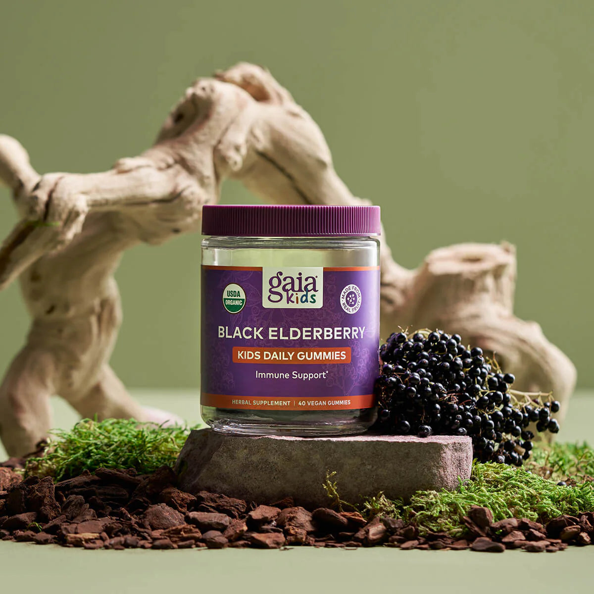 Kids Black Elderberry Daily Gummies, 40 Servings