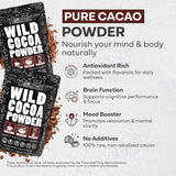 Cocoa Powder - Single-Origin Antioxidant