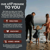 Cocoa Powder - Single-Origin Antioxidant