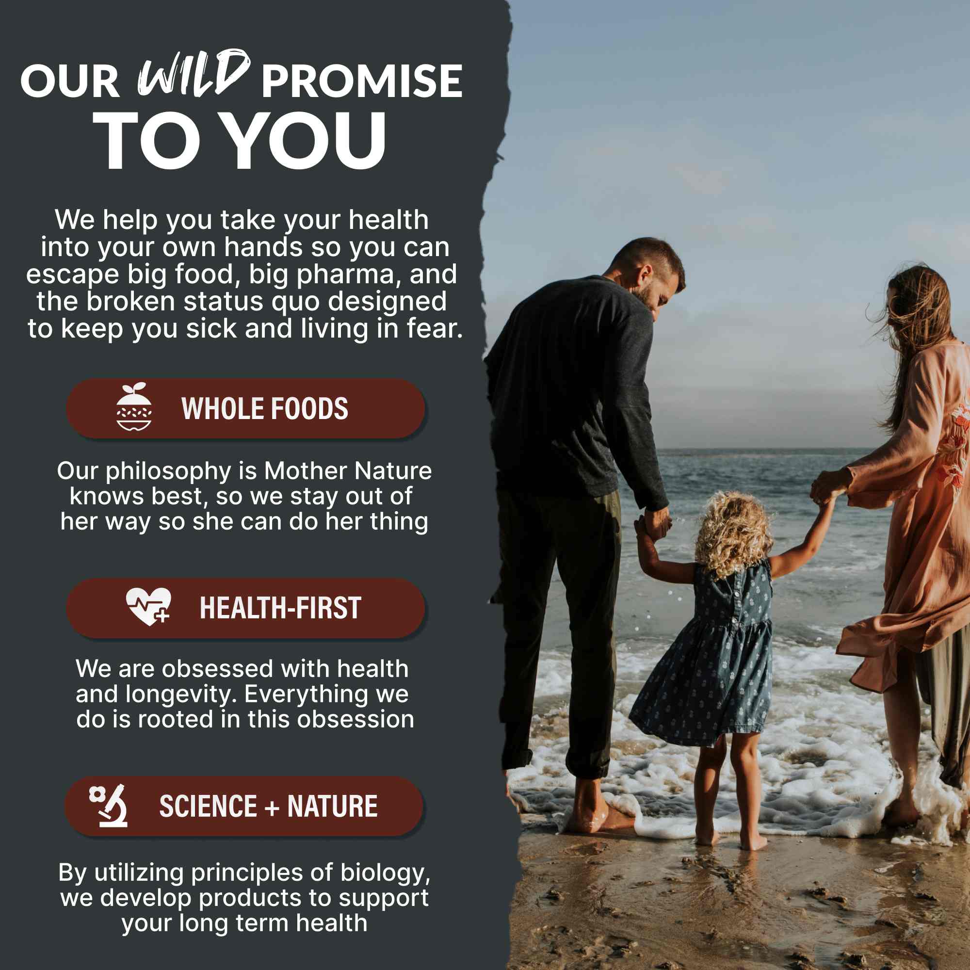 Cocoa Powder - Single-Origin Antioxidant