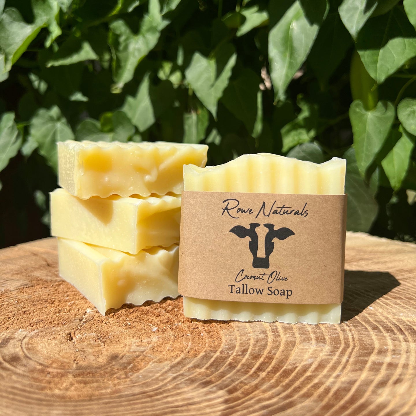 Coconut Olive Tallow Soap - Unscented