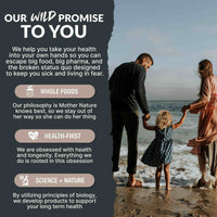 CocoTropic Organic Mushroom Mix for Energy & Focus