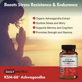 Daily Nutra KSM-66 Ashwagandha – Stress Relief & Relaxation