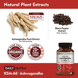 Daily Nutra KSM-66 Ashwagandha – Stress Relief & Relaxation