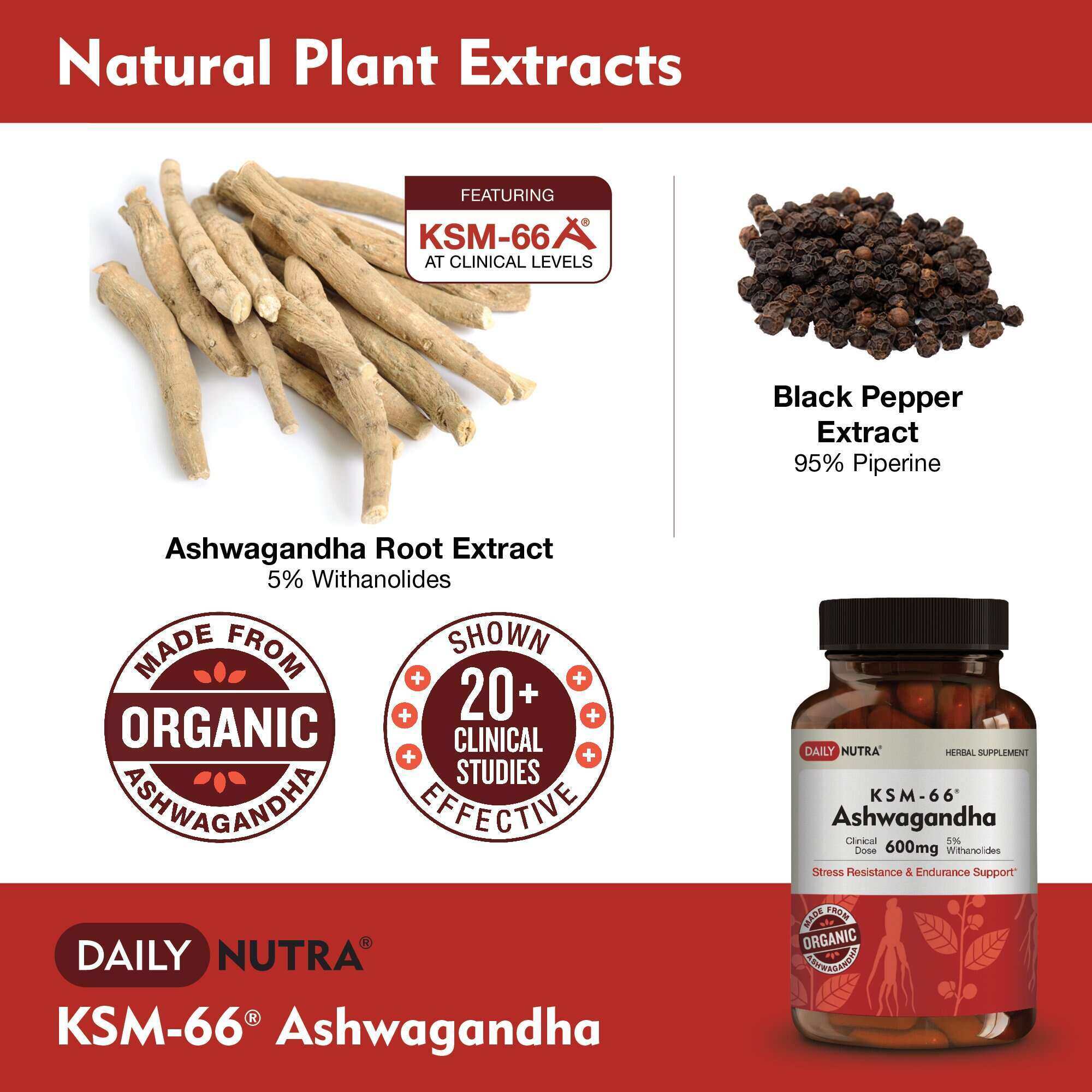 Daily Nutra KSM-66 Ashwagandha – Stress Relief & Relaxation