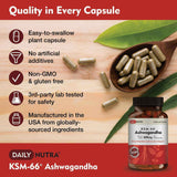 Daily Nutra KSM-66 Ashwagandha – Stress Relief & Relaxation