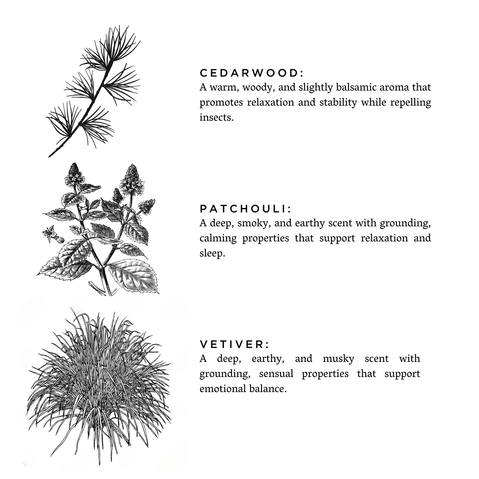 Embers + Leather Soy Wax Candle | Vetiver + Cedar + Patchouli