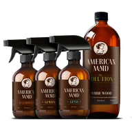 Daily Cleaning Essentials Kit