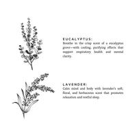 Eucalyptus + Lavender Soy Wax Candle