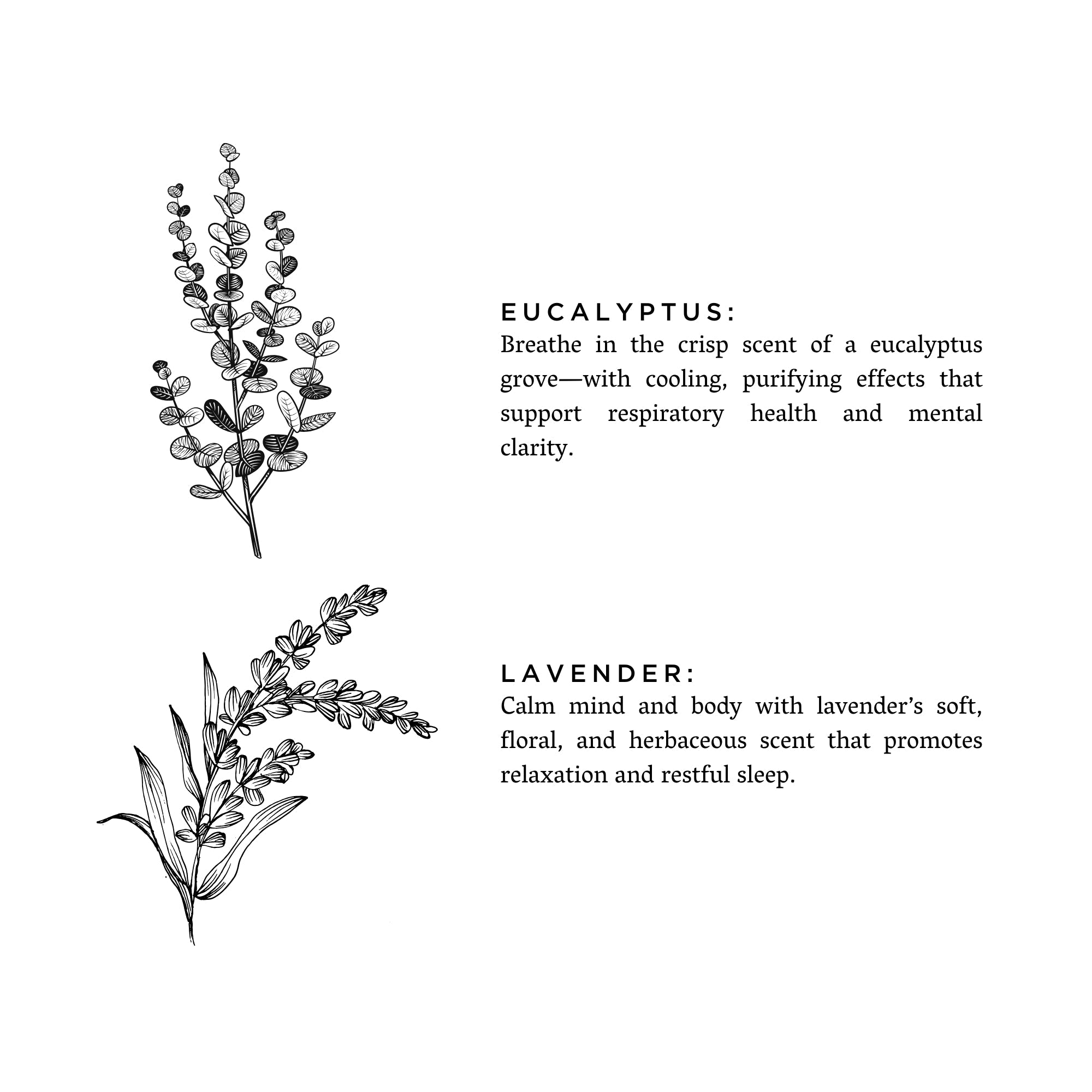Eucalyptus + Lavender Soy Wax Candle