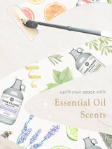 Floor Cleaner Concentrate | Bergamot & Cypress