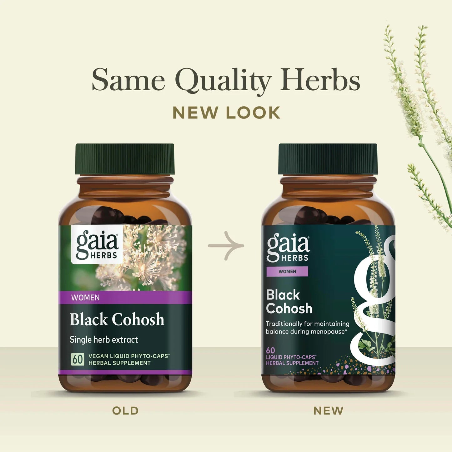 Black Cohosh, 30 Servings