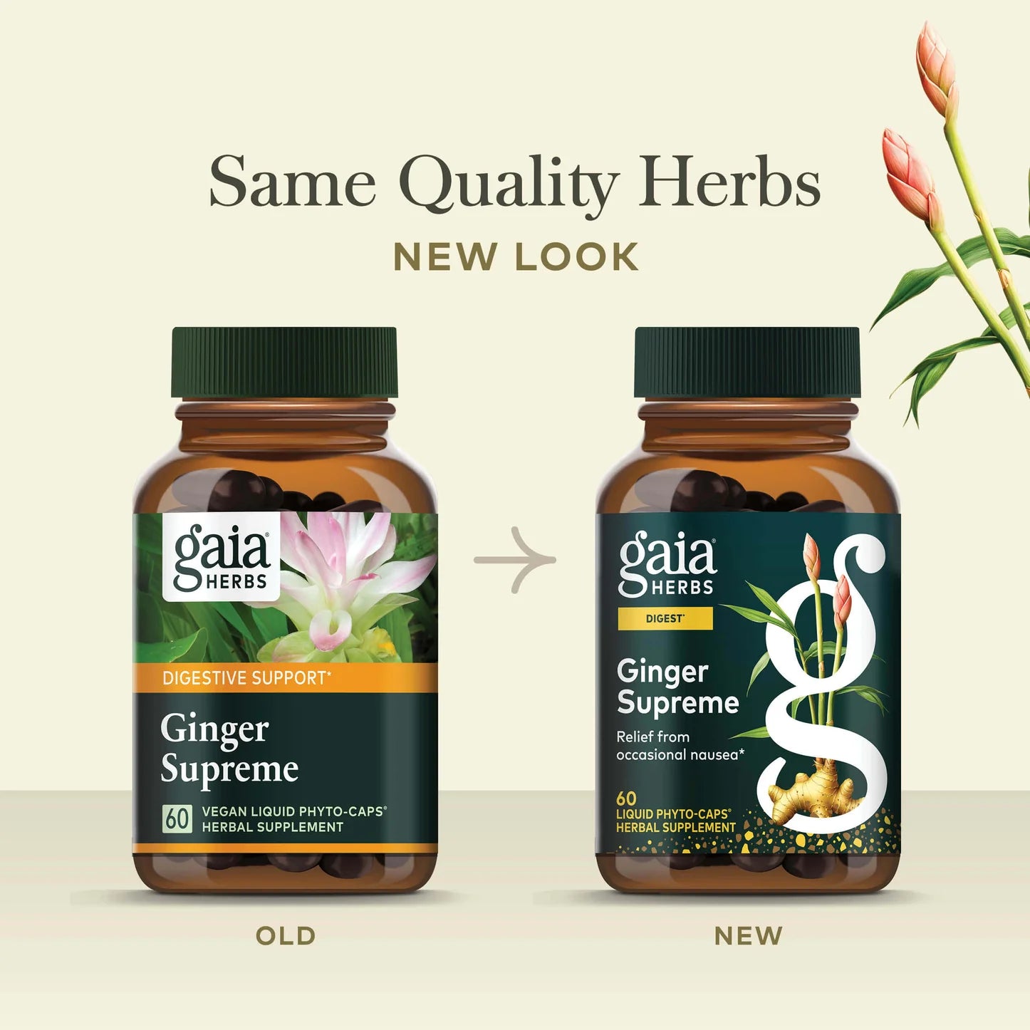 Ginger Supreme, 60 Servings