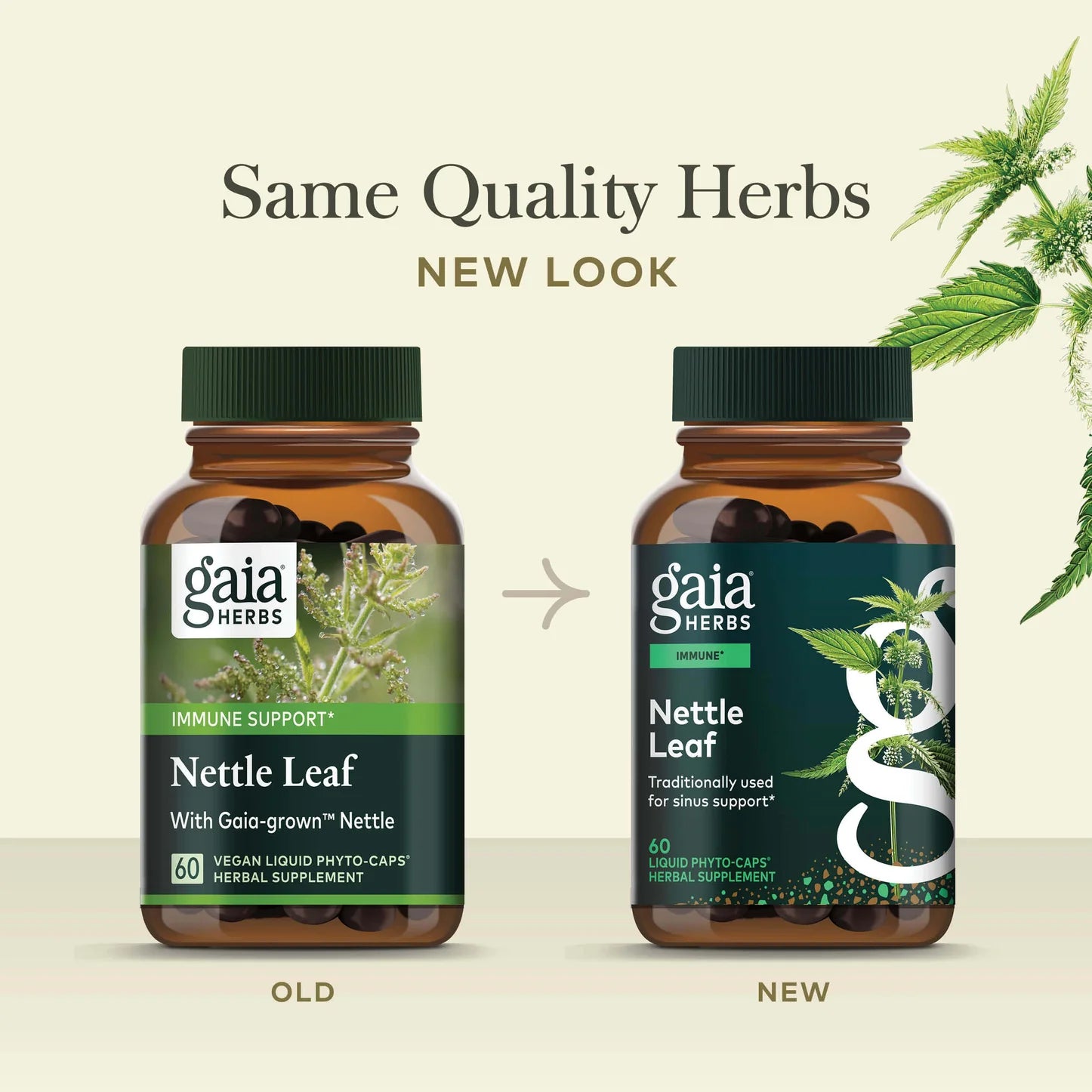 Nettle Leaf, 60 Servings