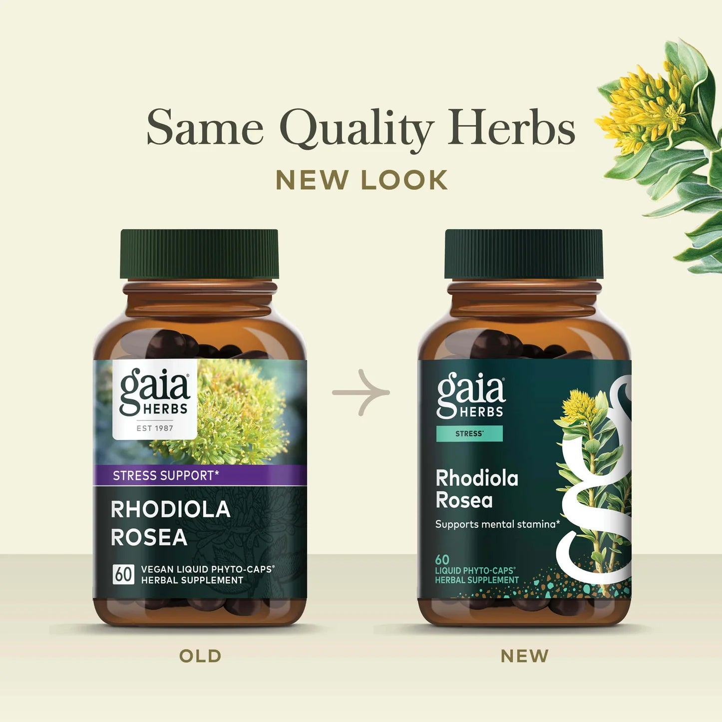 Rhodiola Rosea, 60 Servings