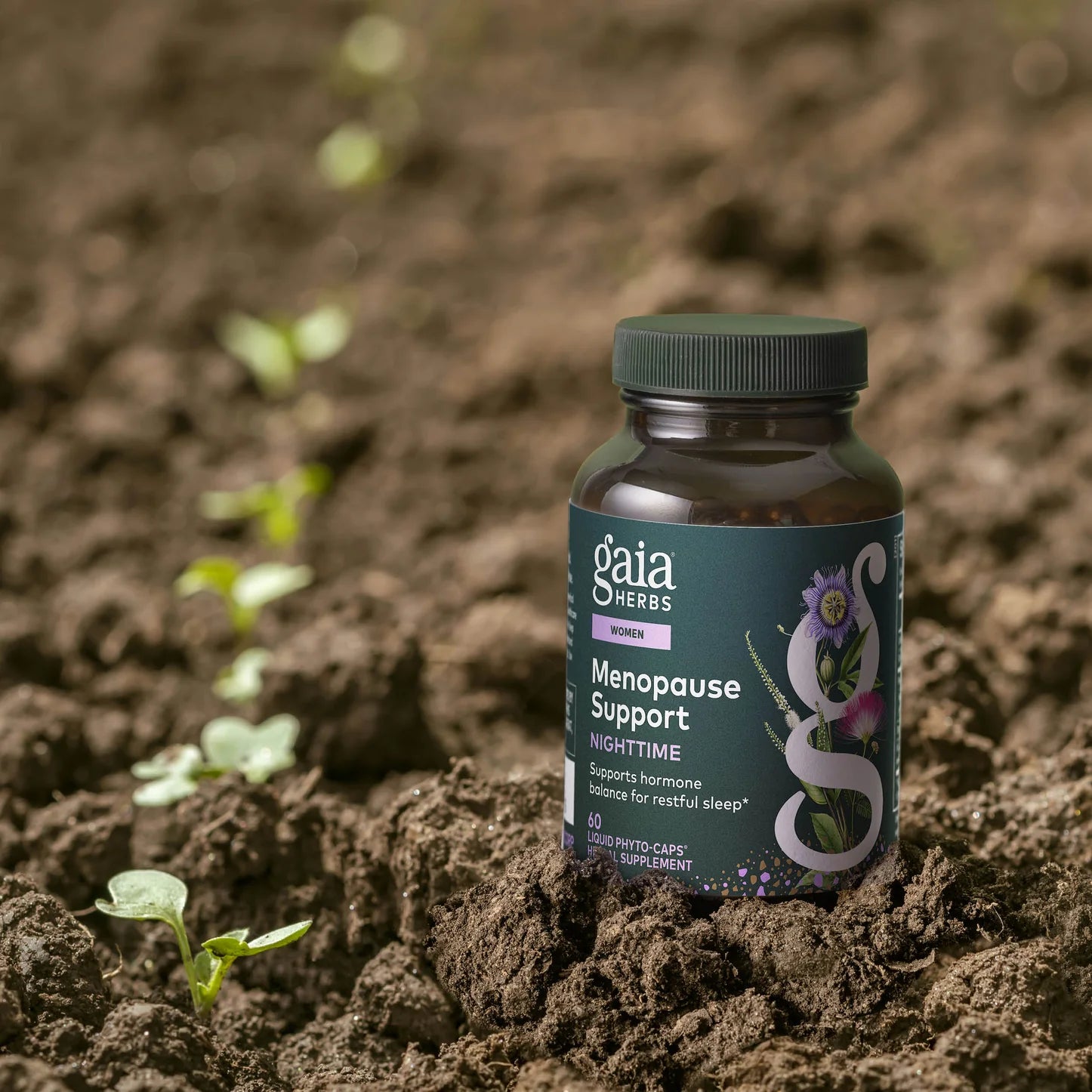 Menopause Support Nighttime, 30 Servings