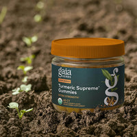Turmeric Supreme Extra Strength Gummies, 20 Servings