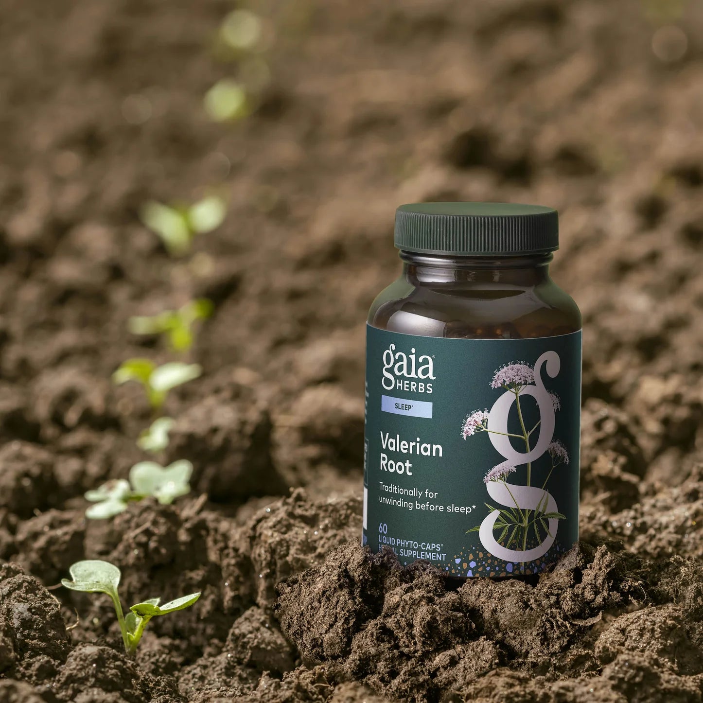 Valerian Root, 30 Servings
