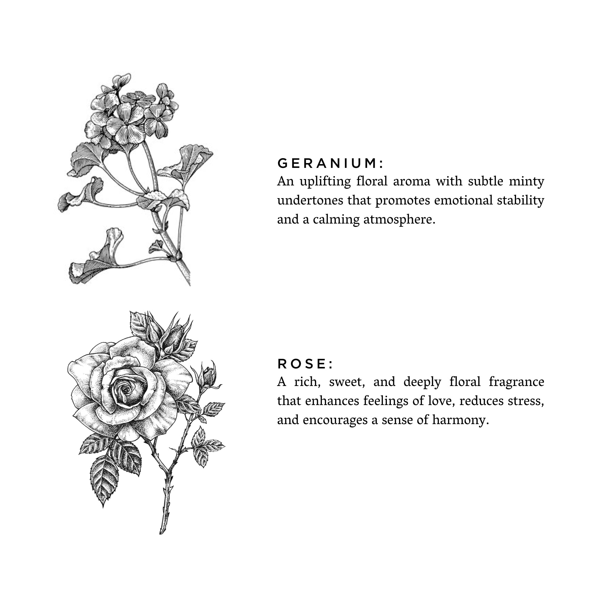 Geranium + Rose Soy Wax Candle