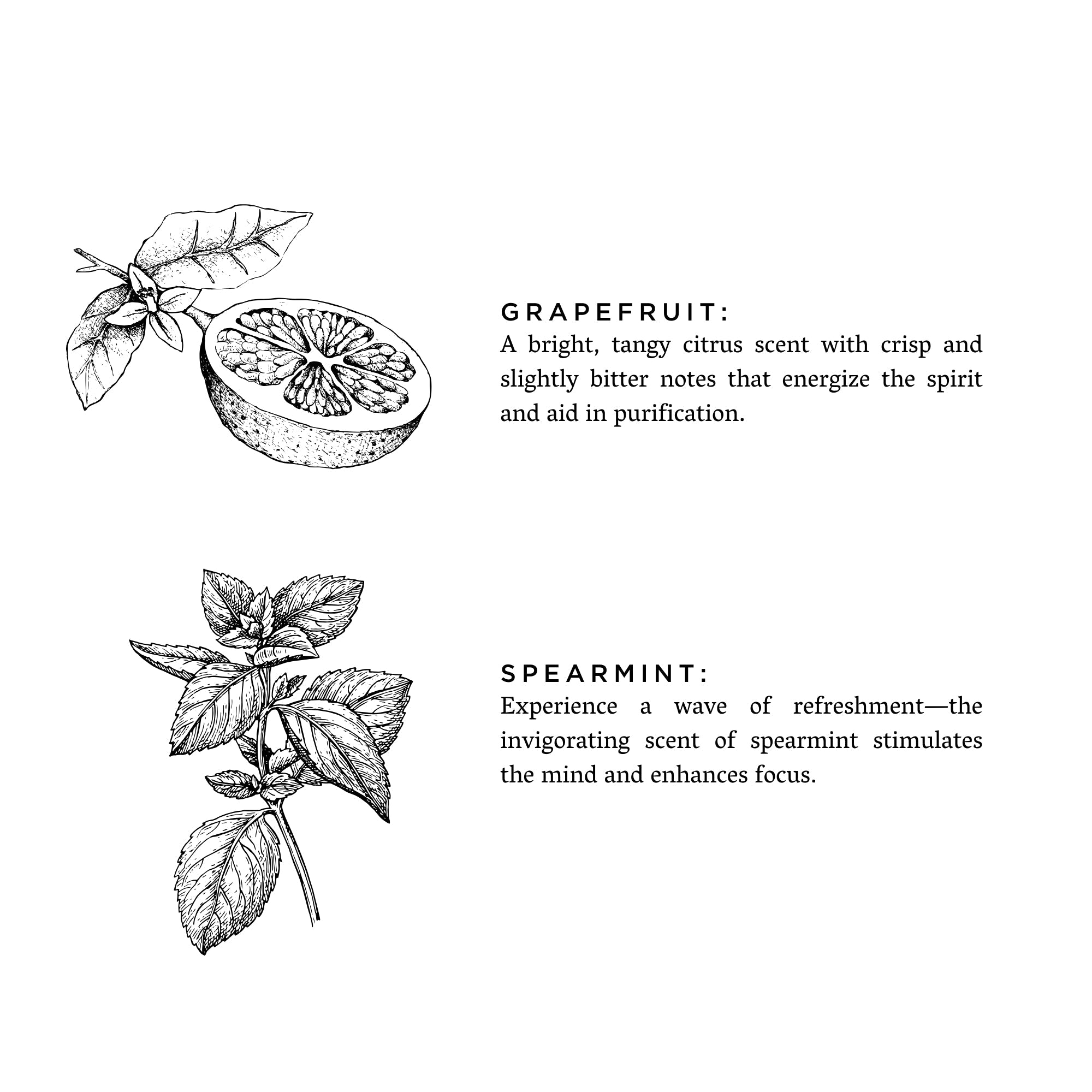 Grapefruit + Spearmint - Signature Soy Wax Candle