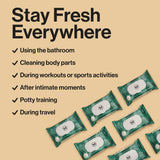 Flushable Fragrance-Free Wipes, Tropical Leaves, 336ct (8 Packs of 42)