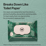 Flushable Fragrance-Free Wipes, Tropical Leaves, 336ct (8 Packs of 42)