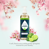 Laundry Detergent (Concentrated, Sulfate-Free)