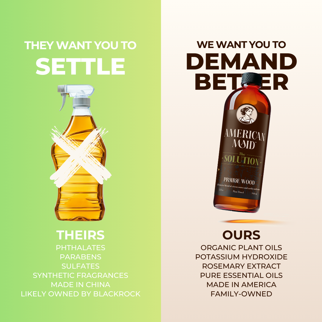 Cleaning Starter Kit