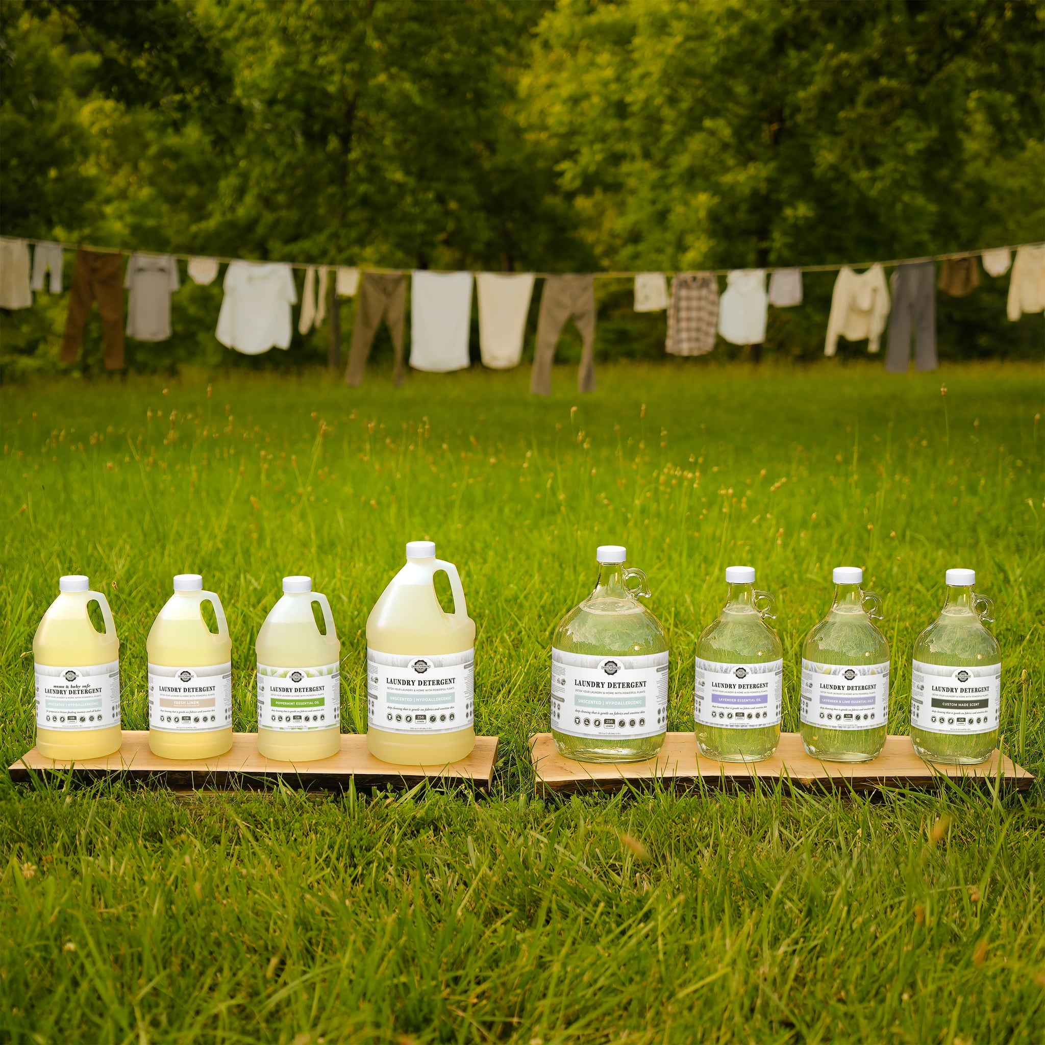 Laundry Detergent | Rosemary & Mint
