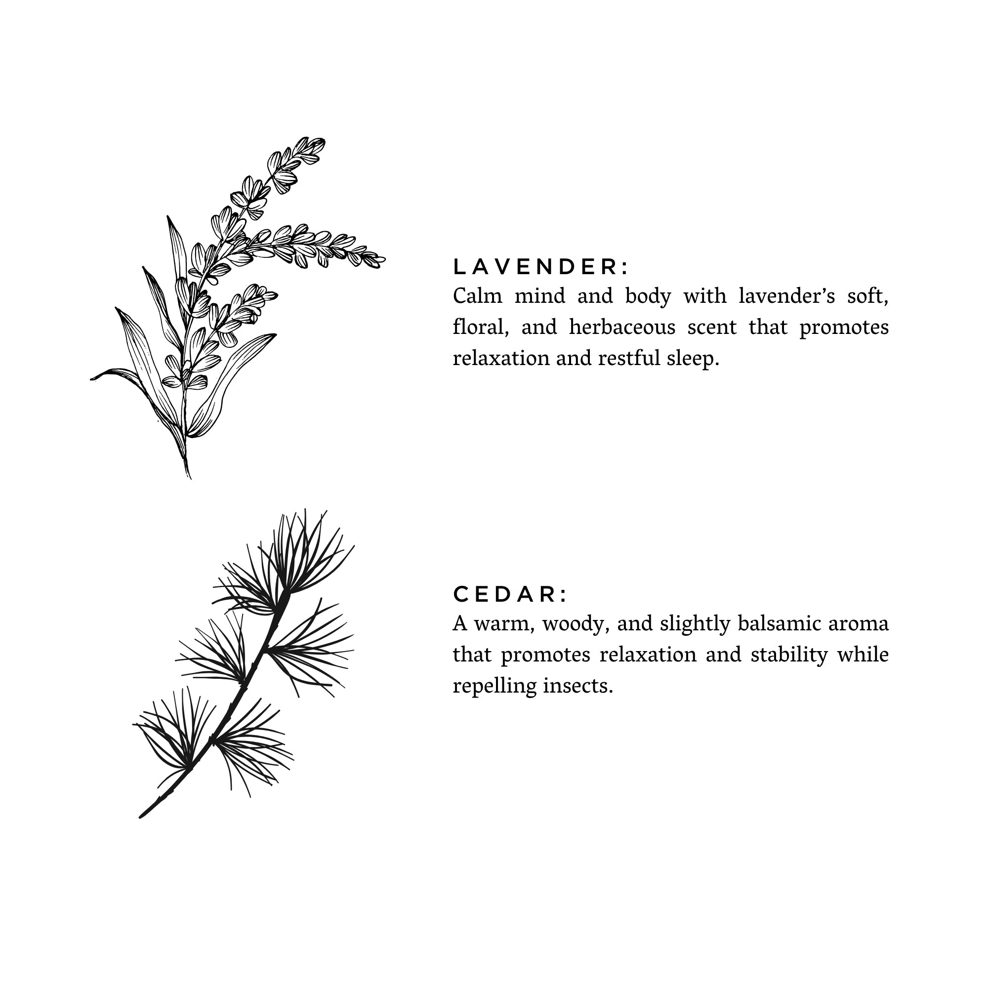 Lavender + Cedar Soy Wax Candle