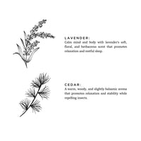 Lavender + Cedar - Signature Soy Wax Candle