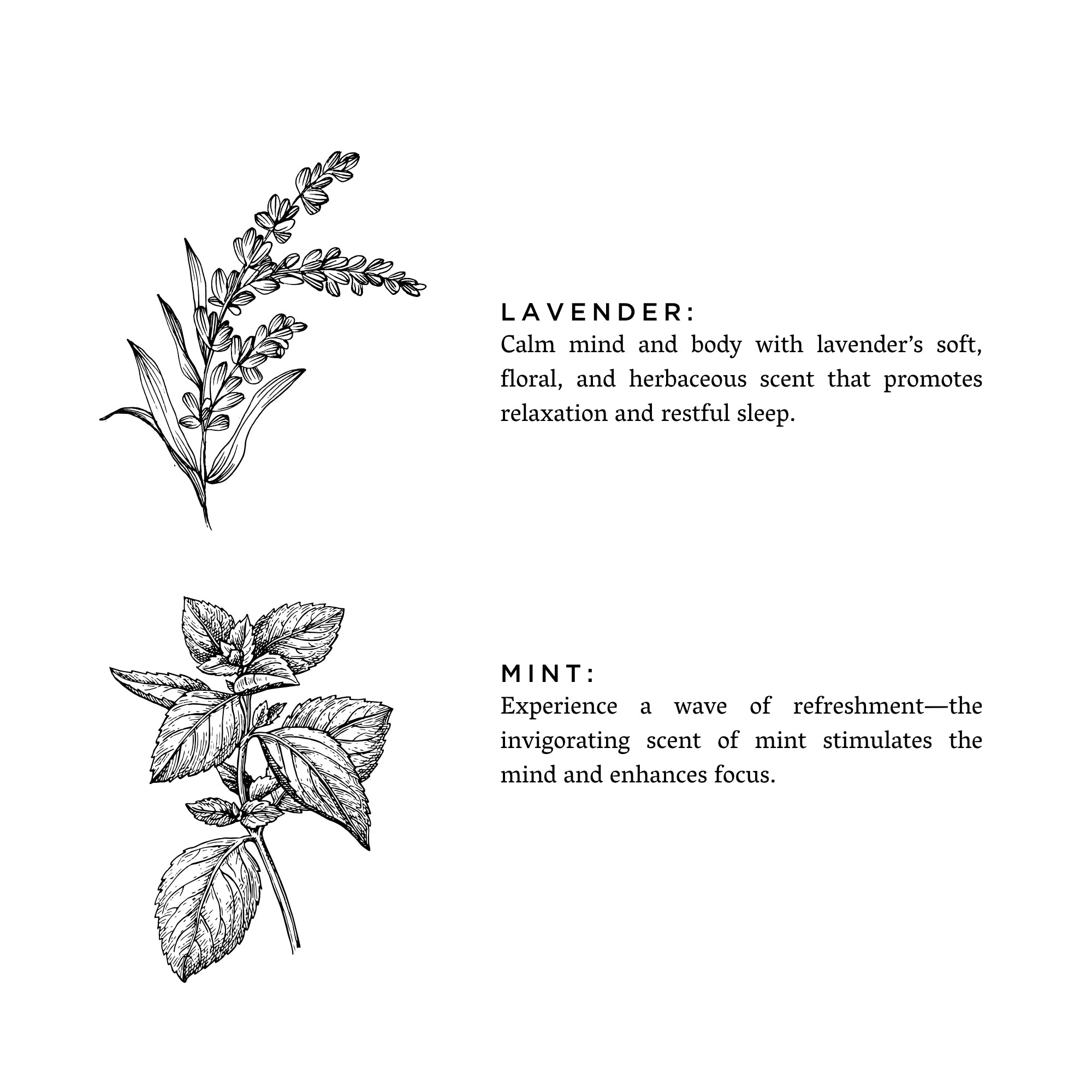 Linen Spray - Lavender + Mint