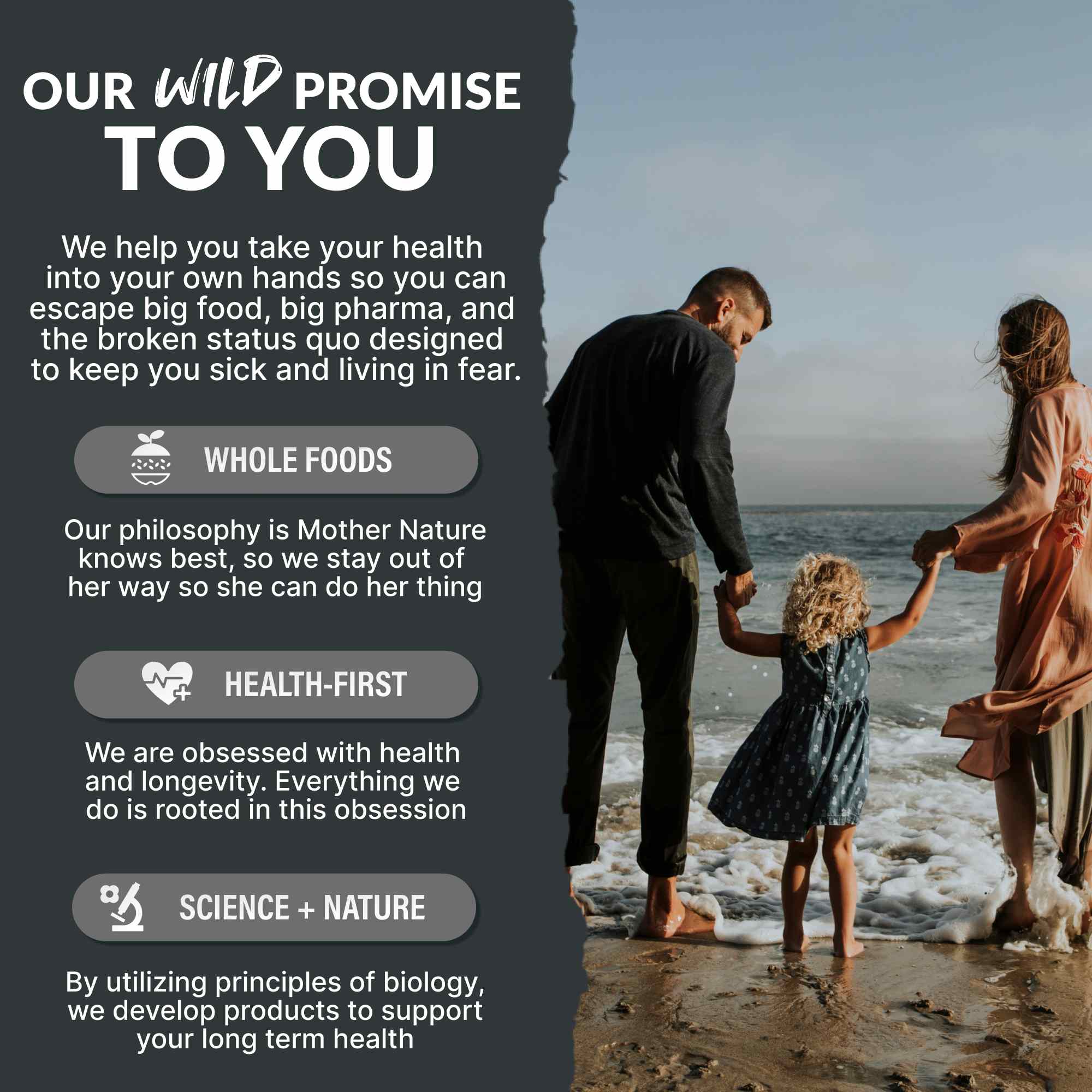 Wild MCT Oil - Brain & Body Fuel