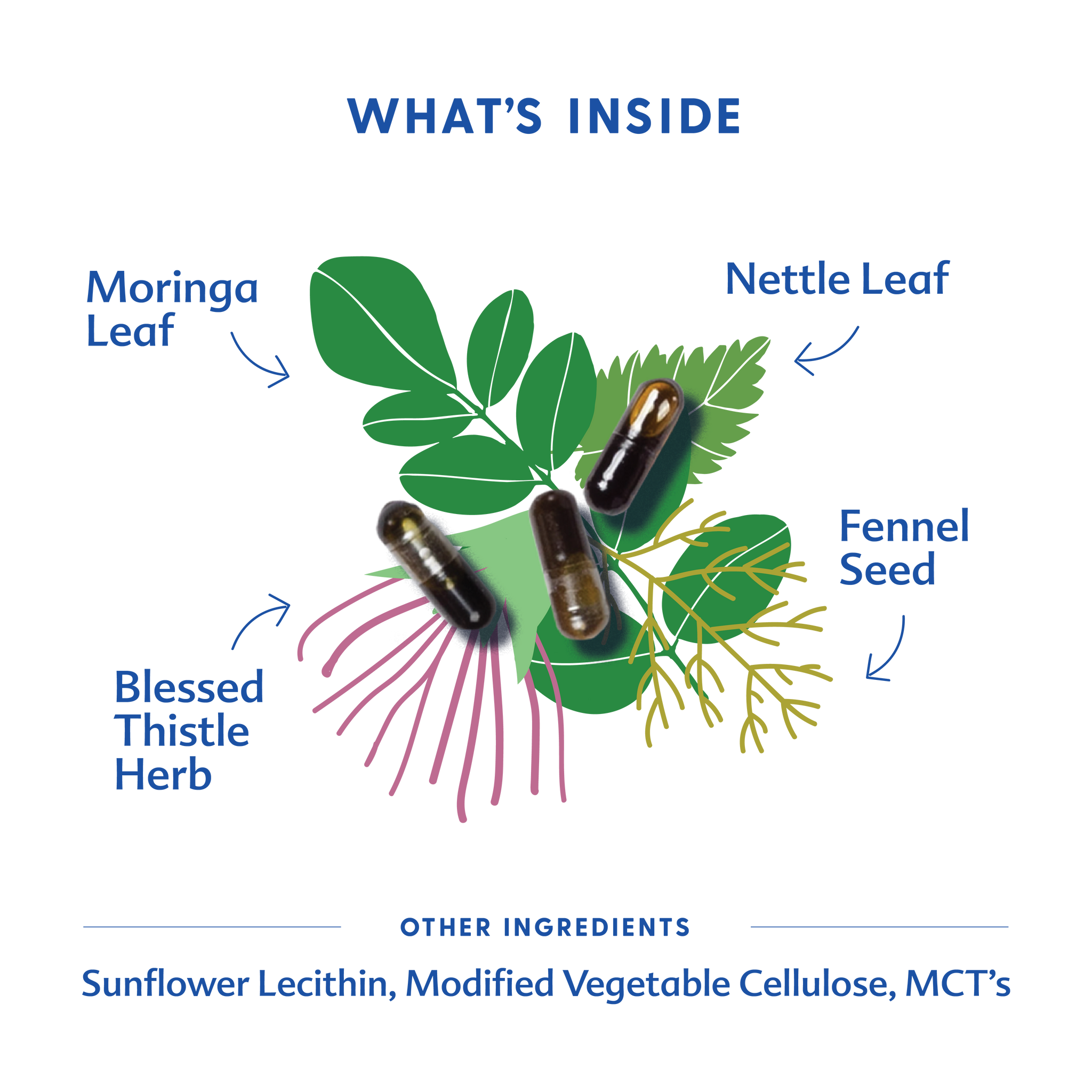 More Milk® Moringa - Liquid Capsules