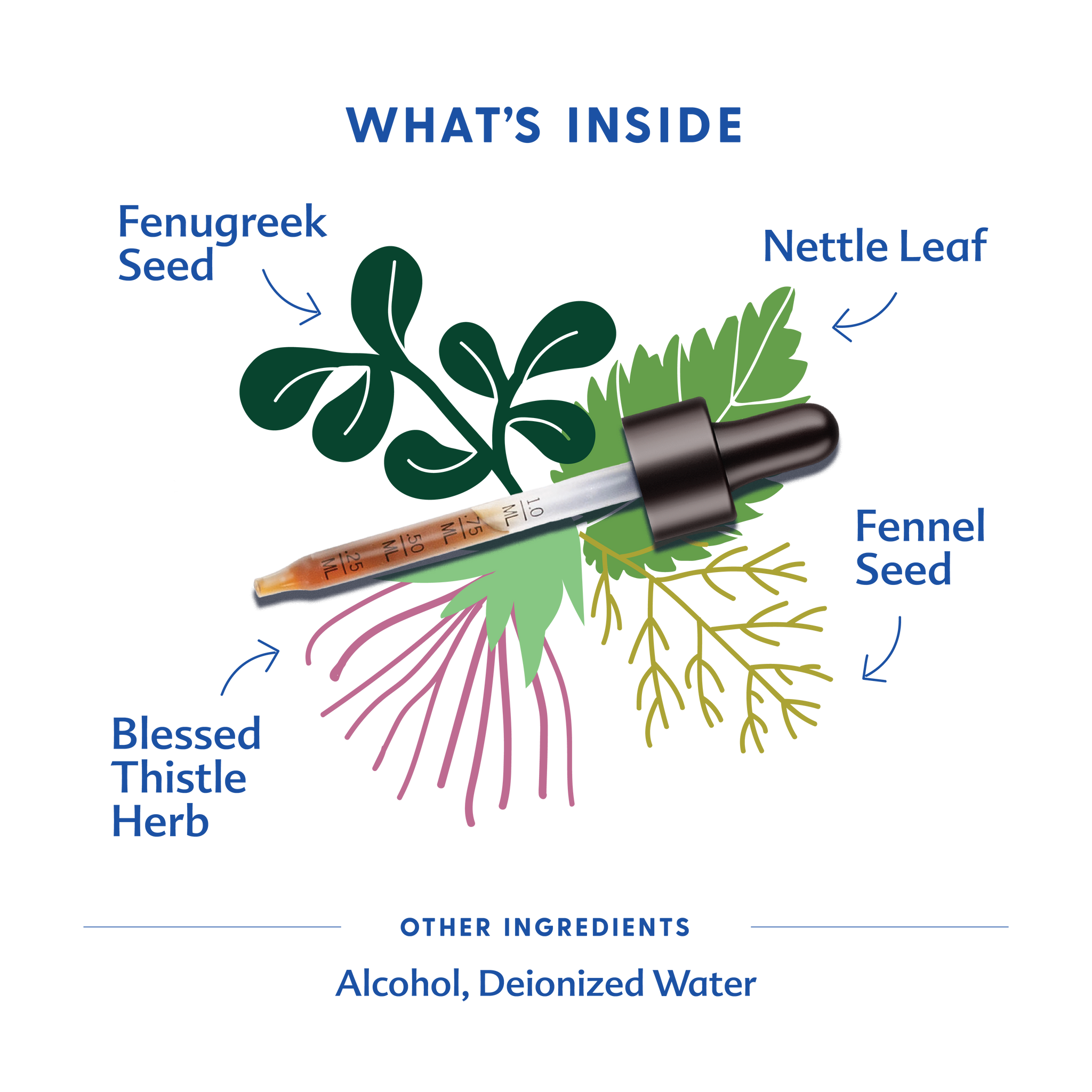More Milk Plus® - Tincture