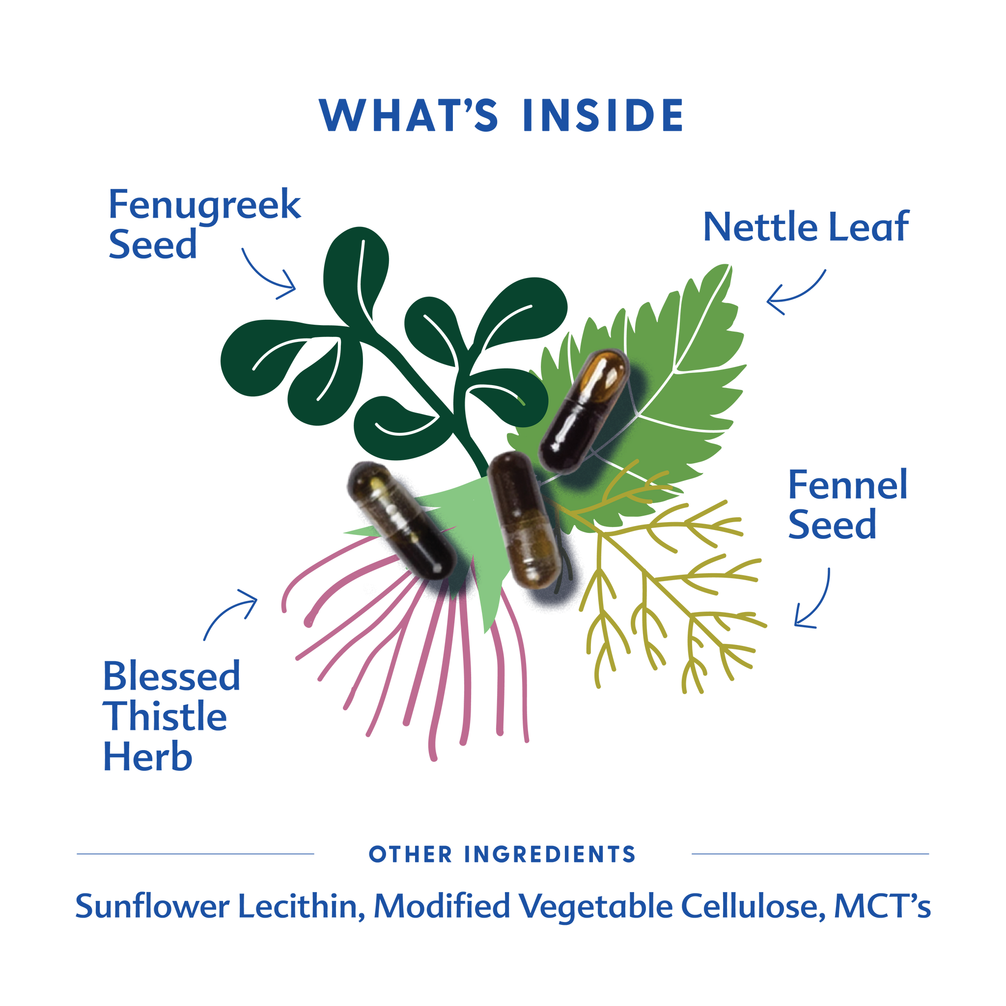 More Milk Plus® - Liquid Capsules