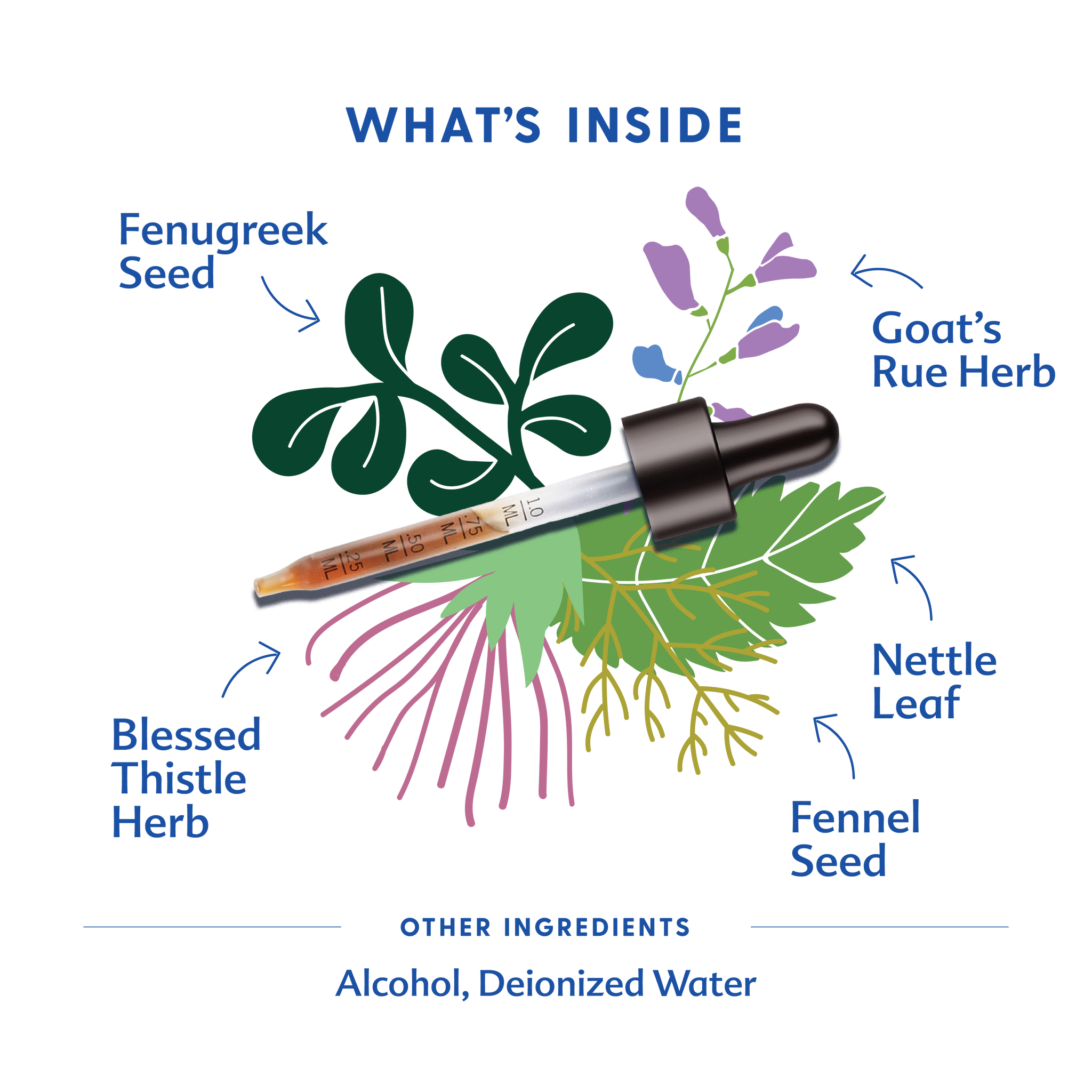More Milk® Special Blend - Tincture