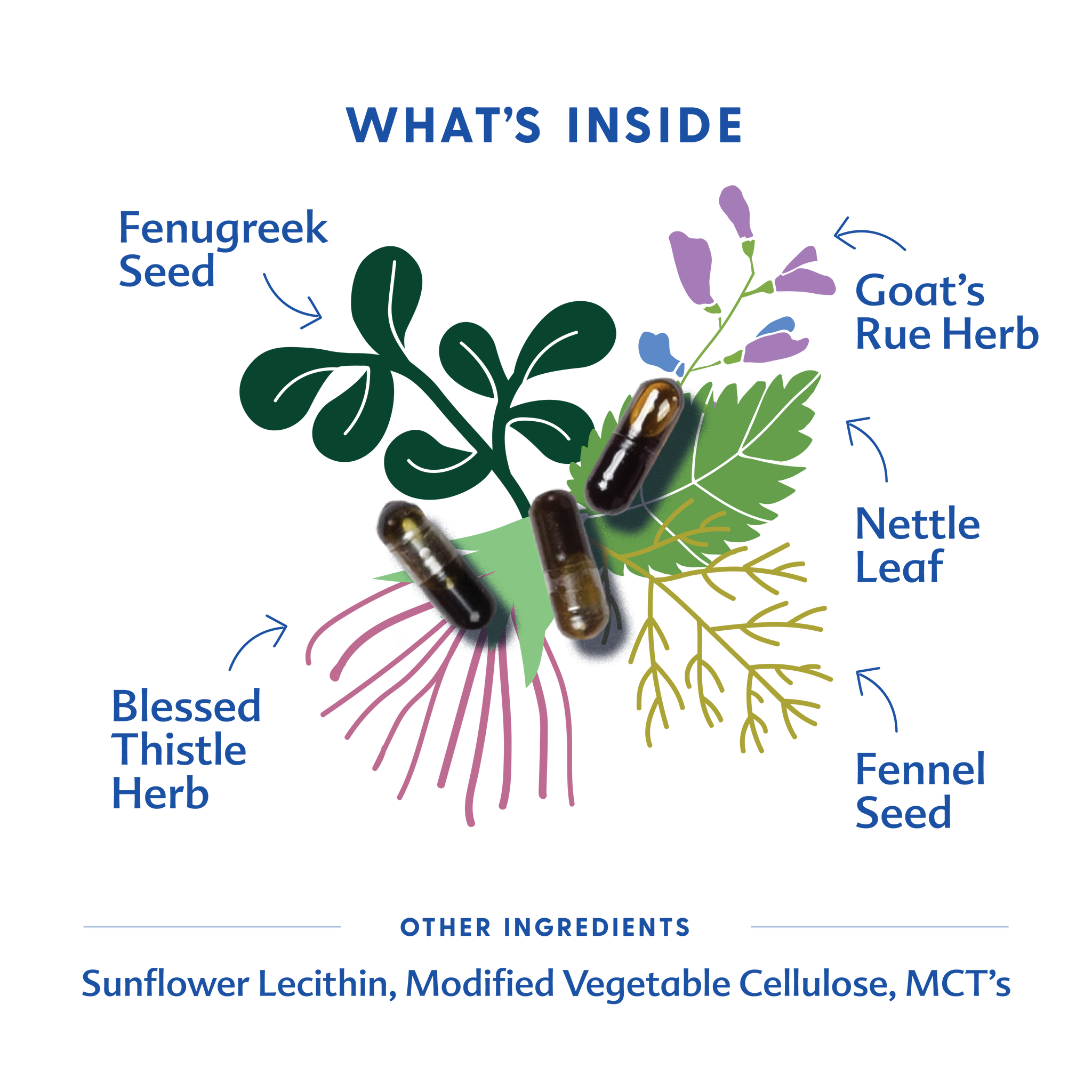 More Milk® Special Blend - Liquid Capsules