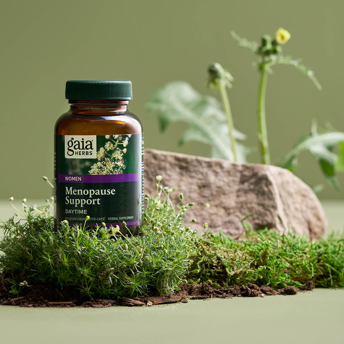 Menopause Support Daytime, 20 Servings