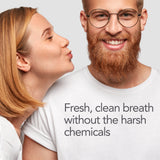 Fresh Mint Travel Collection