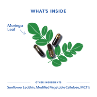 Moringa (Malunggay) - Liquid Capsules