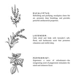 Of The Sea - Signature Soy Wax Candle (Eucalyptus + Lavender + Peppermint)