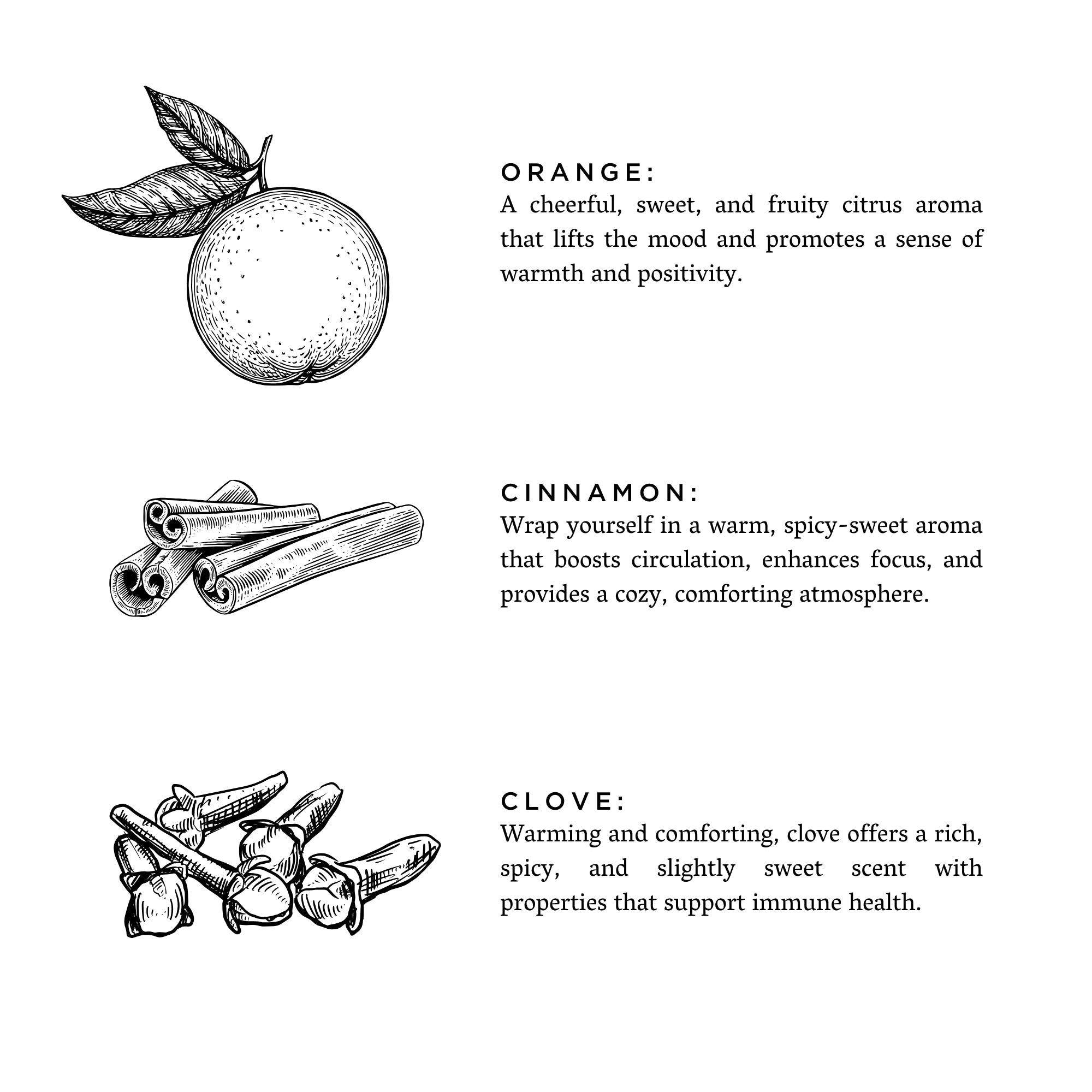 Orange + Clove - Signature Soy Wax Candle