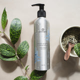 Sweet Sunrise Conditioner