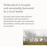 Palo Santo Hair & Body Mist