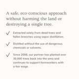 Palo Santo Hair & Body Mist