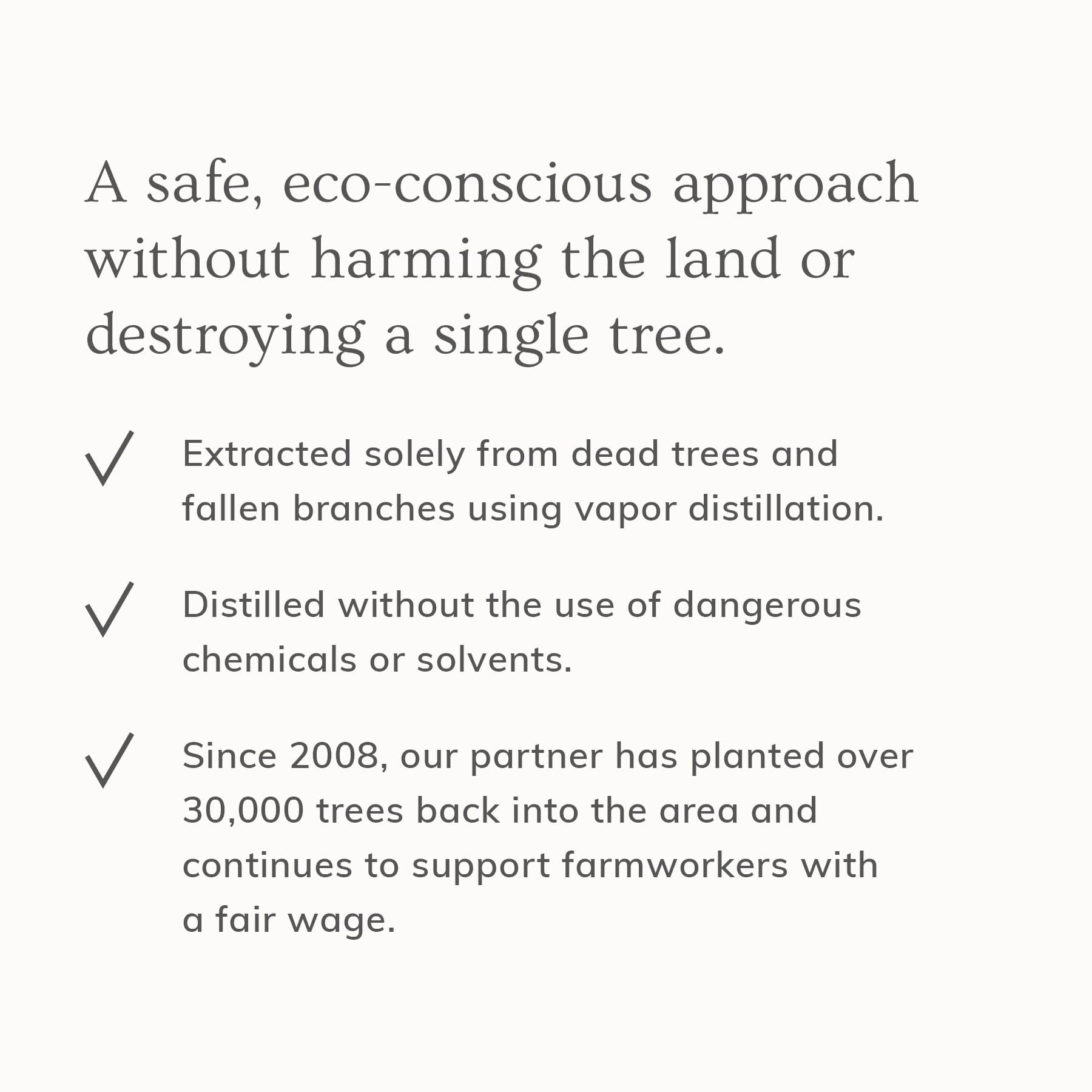 Palo Santo Hair & Body Mist