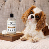 Pet Shampoo | Soothing & Deodorizing | Wild Heart